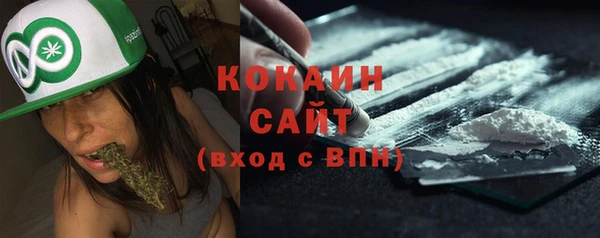 мдпв Михайлов