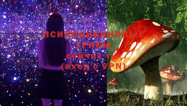 мдпв Михайлов